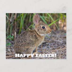 ¡Feliz Pascua! Tarjeta postal