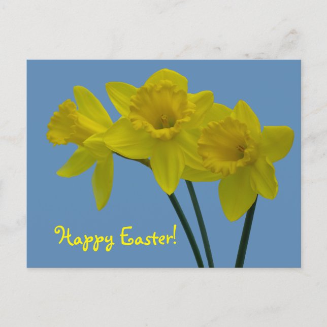 "Feliz Pascua" Tarjeta postal de narcisos (Anverso)
