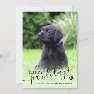 Feliz Pawlidays Cachorro Foto Navidad Mascota Mode