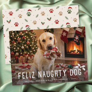 Feliz Perro Travieso Foto Divertida Navidad