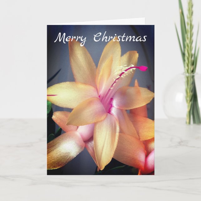 *~* Feliz Personalizar de Flores Cactus de Navidad (Anverso)
