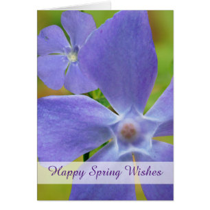 Feliz primavera florida Vinca Purple Blooms