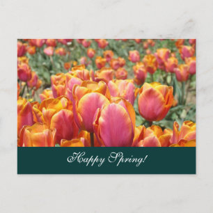 Feliz Primavera! tarjetas postal Flor de Tulipán C
