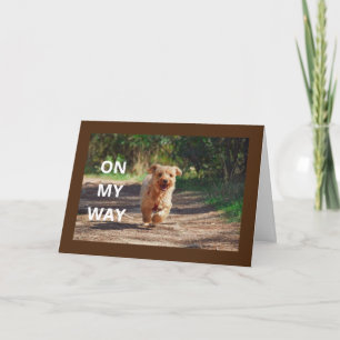 **FELIZ PRIMER CUMPLEAÑOS" Tarjeta especial para B