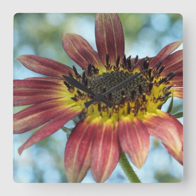 Feliz reloj de pared de girasol rojo (Anverso)