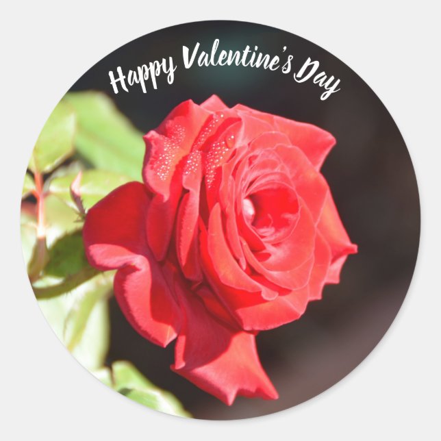 Feliz Rosa de San Valentín pegatina (Anverso)