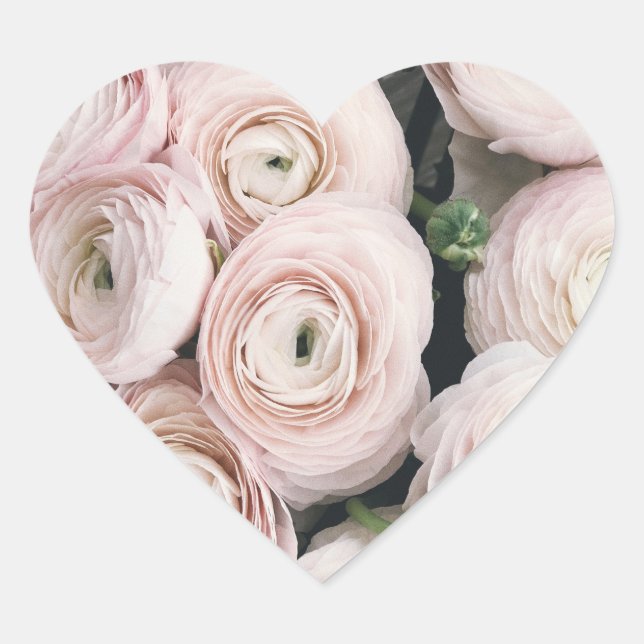 FELIZ ROSA SEMILLA Pegatinas del corazón, PEQUEÑO, (Anverso)