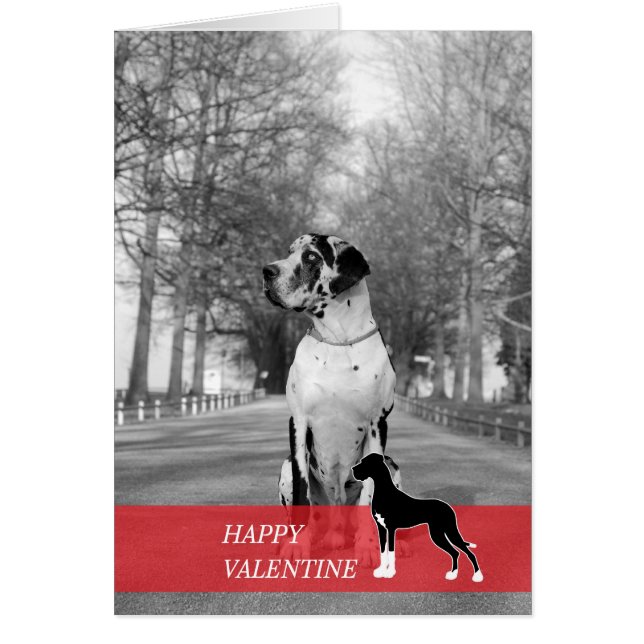 Feliz San Valentín (Frente)