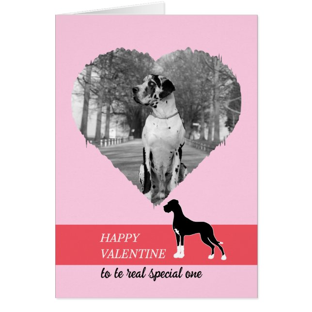 Feliz San Valentín mi Gran DAne (Frente)