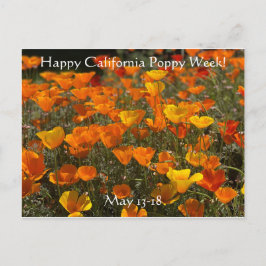 ¡Feliz semana de la amapola de California! Postal