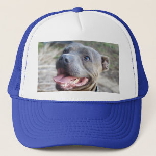Feliz Staffordshire Bull Terrier, Gorra