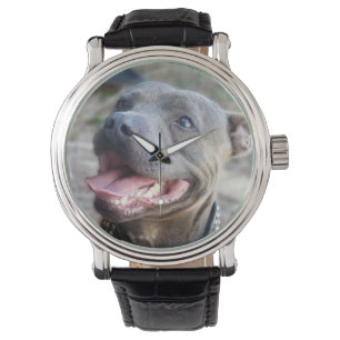Feliz Staffordshire Bull Terrier, reloj de pulsera