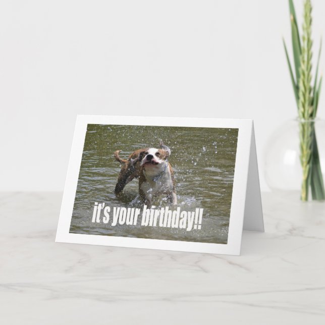 FELIZ TARJETA DE AMOR DE PERRO DE CUMPLEAÑOS (Anverso)