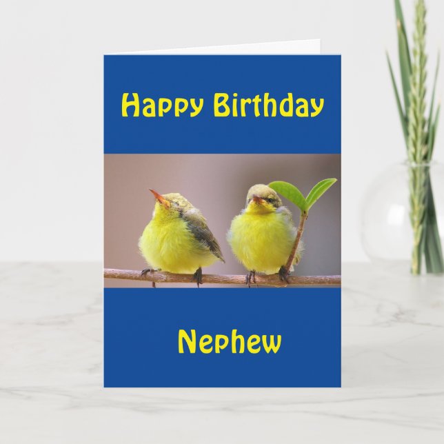 FELIZ TARJETA DE CUMPLEAÑOS "NEPHEW" (Anverso)