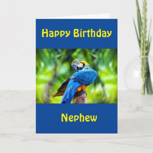 FELIZ TARJETA DE CUMPLEAÑOS "NEPHEW"