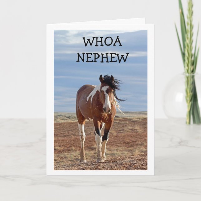 FELIZ TARJETA DE CUMPLEAÑOS "NEPHEW" (Anverso)