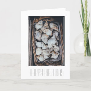 FELIZ TARJETA DE CUMPLEAÑOS "SEASHELLS"