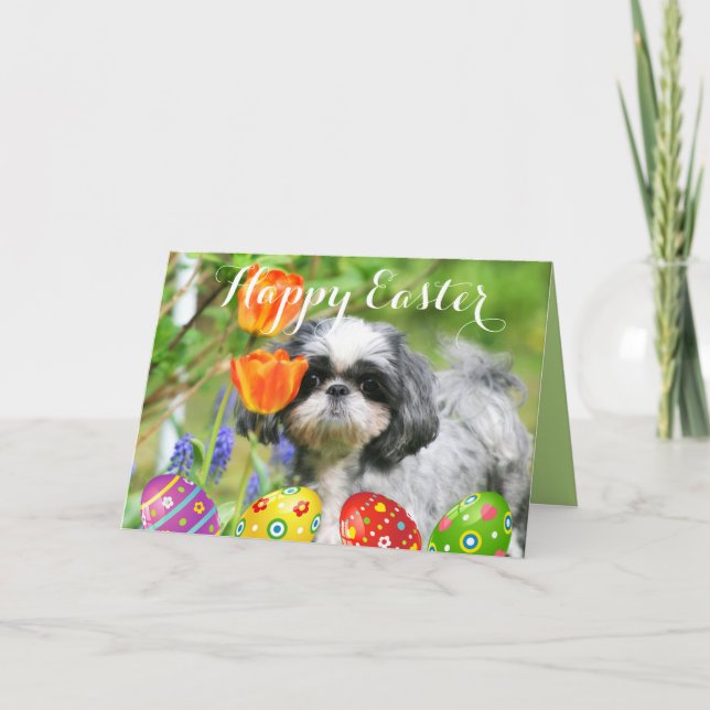 Feliz tarjeta de felicitación al Chica Shih Tzu (Anverso)