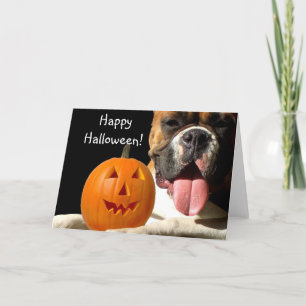 Feliz tarjeta de felicitación del Boxer de Hallowe