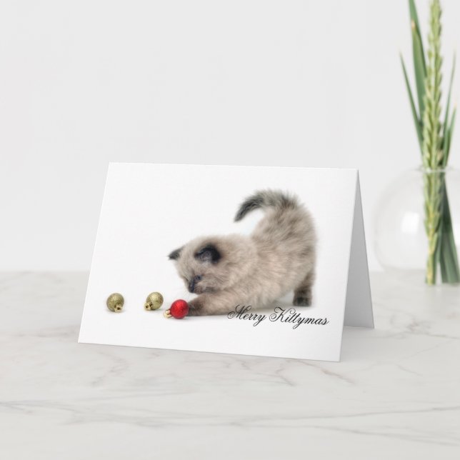 Feliz tarjeta de Kittymas (Anverso)