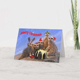 Feliz tarjeta de Navidad de Meerkats