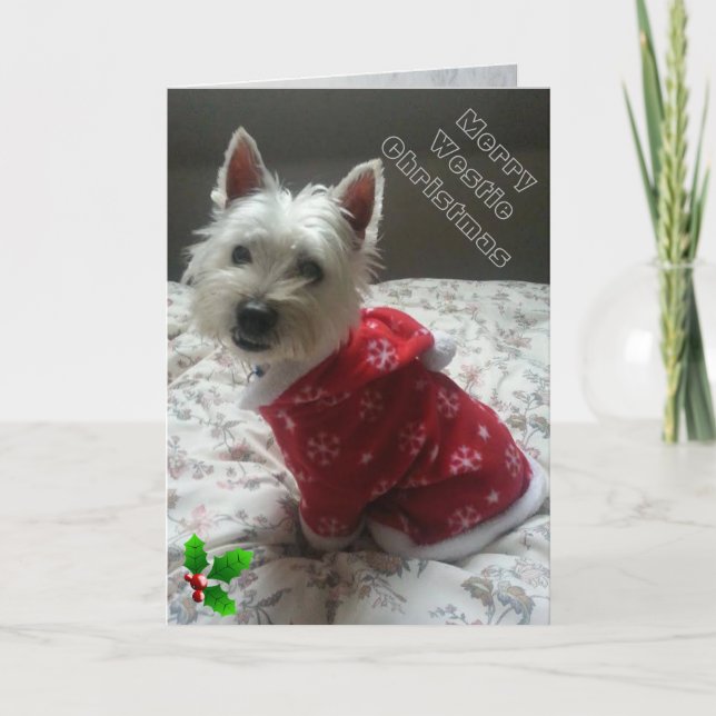 Feliz tarjeta de Navidad de Westie para su westie (Anverso)