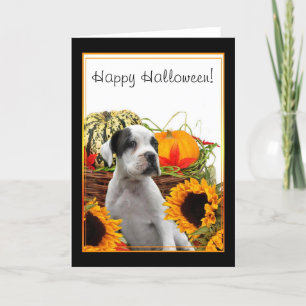 Feliz tarjeta de saludo de boxeador de Halloween