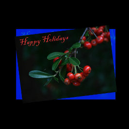 Feliz tarjeta de vacaciones con Berries Rojos