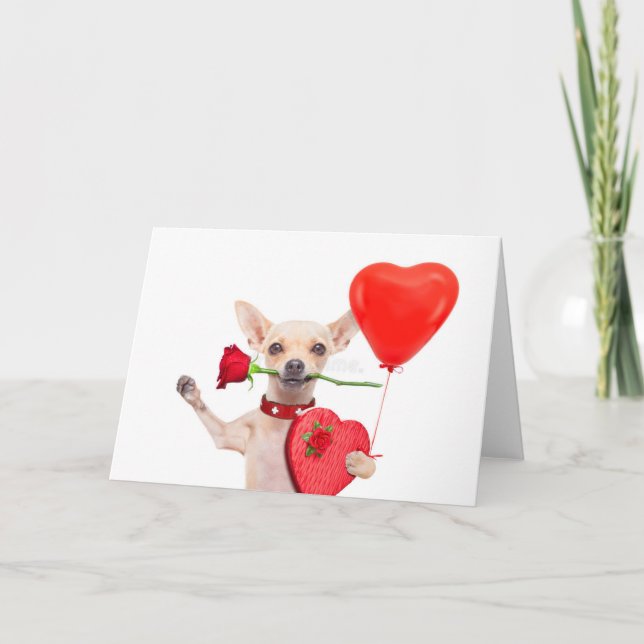 Feliz tarjeta del día de San Valentín Chihuahua li (Anverso)