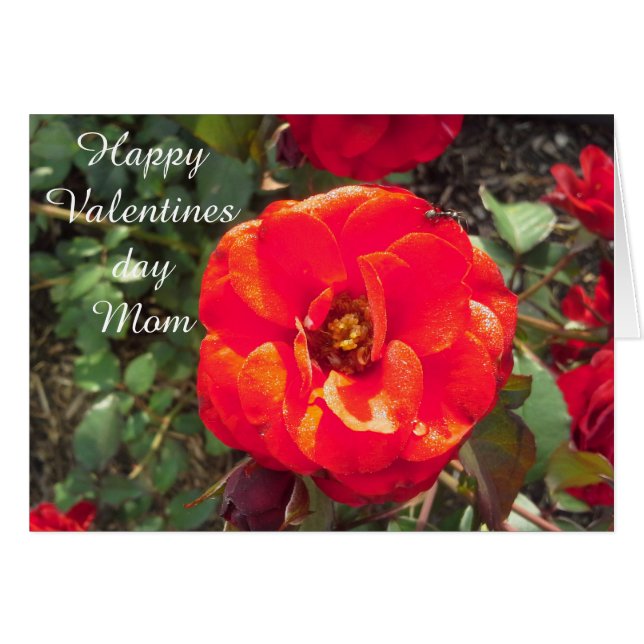 FELIZ tarjeta MOM DEL DÍA DE VALENTINAS (Anverso (Horizontal))