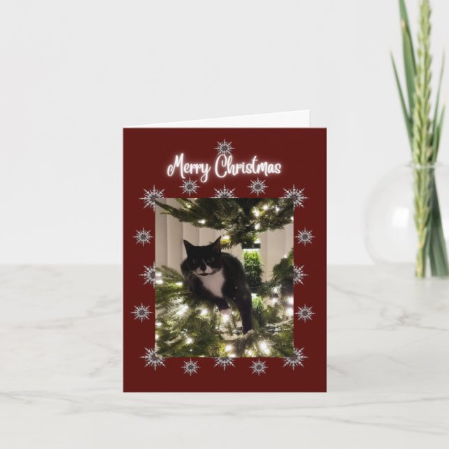 Feliz tarjeta navideña con un gato de Tuxedo en mi (Anverso)