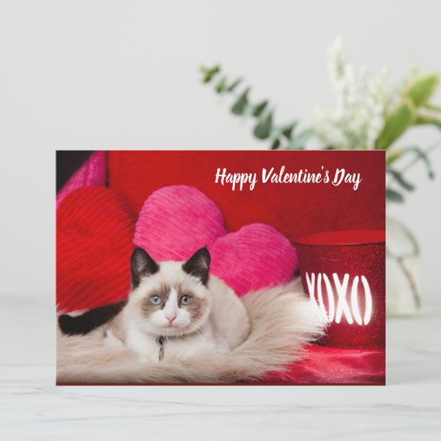 Feliz tarjeta plana de gato del Día de San Valentí (Anverso de pie)