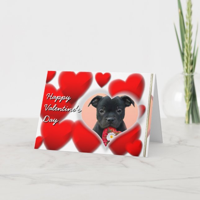 Feliz tarjeta Staffordshire Bull Terrier de San Va (Anverso)