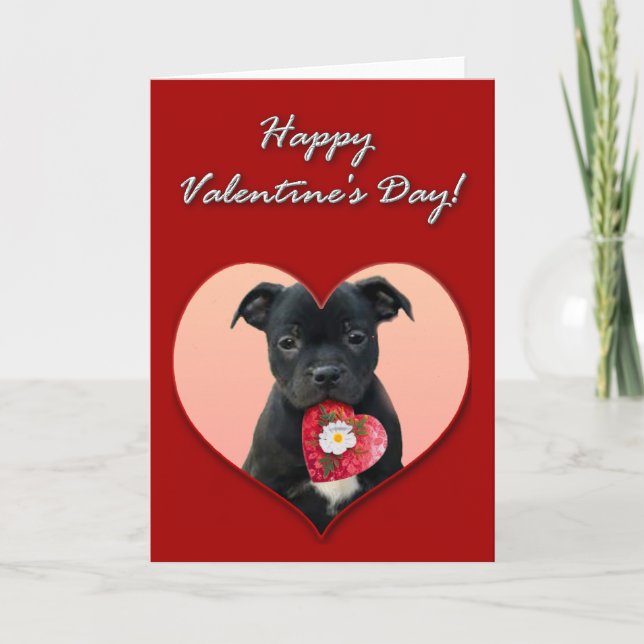 Feliz tarjeta Staffordshire Bull Terrier de San Va (Anverso)