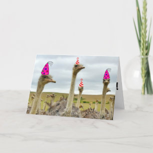 FELIZ TARJETAS DE FIESTA OSTRICH FUNNY BURLONES