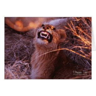 Feliz Tau, Cachorro de León Sonriente