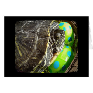 Feliz Tortuga de Pascua