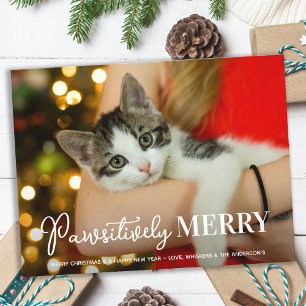 Felizmente Alegre Foto de Navidad de Mascota Gato
