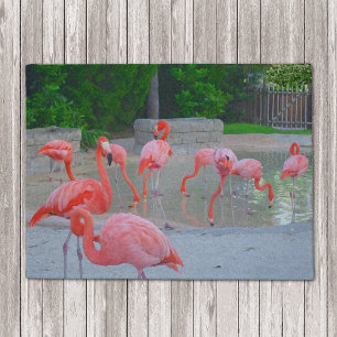 Felpudo Acuarela rosada de los flamencos de la Florida