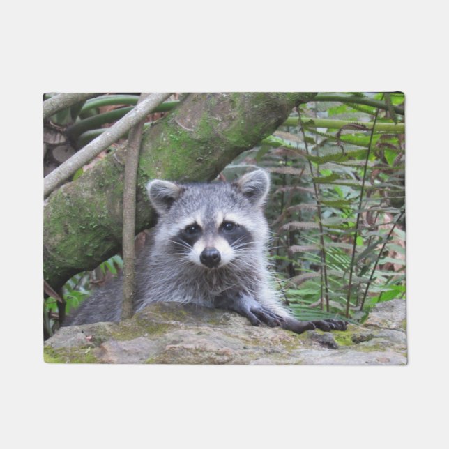 Felpudo Adorable Raccoon Doormat (Anverso)