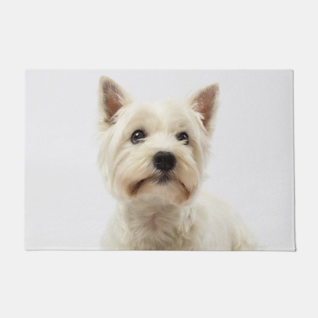 Felpudo Adorable White West Highland Terrier (Anverso)