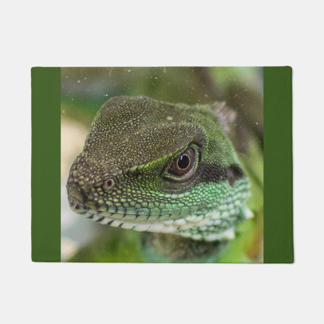 Felpudo Agama, lagarto (Anverso)