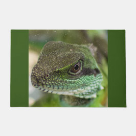 Felpudo Agama, lagarto