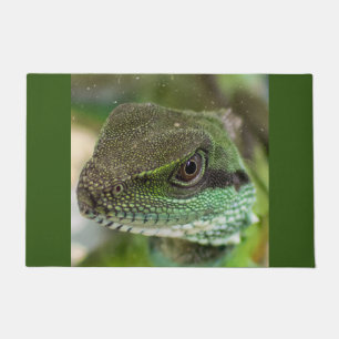 Felpudo Agama, lagarto
