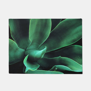 Felpudo Agave Attenuata