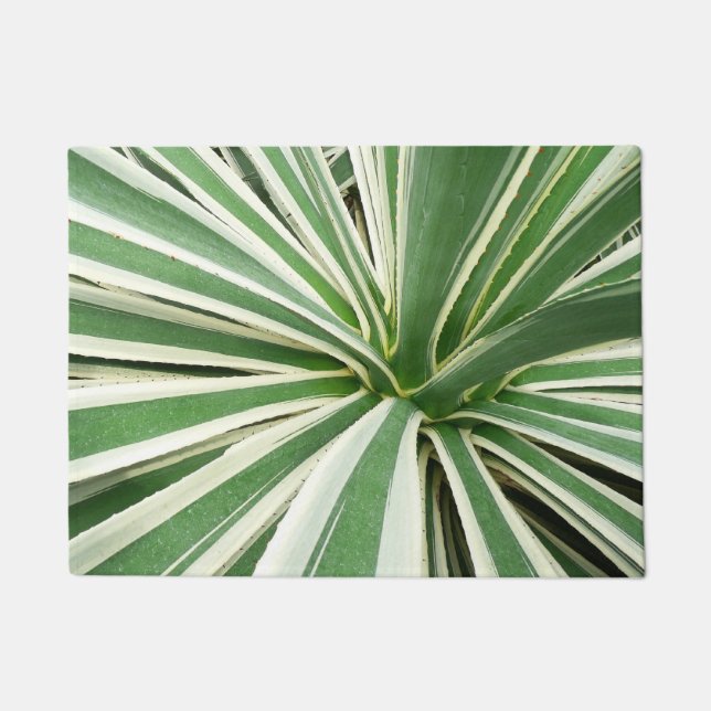 Felpudo Agave Plant Green y White Strike (Anverso)