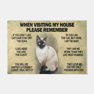 Felpudo Al Visitar Mi Casa Por Favor Recuerde, Gato Person