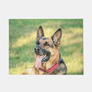 Felpudo Alemán Shepard