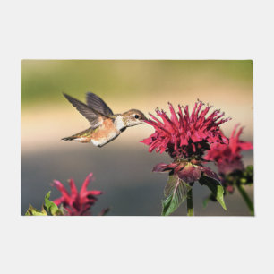Felpudo Alimentador de flores de colibrí