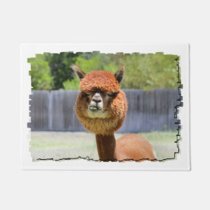 Felpudo Alpaca divertida